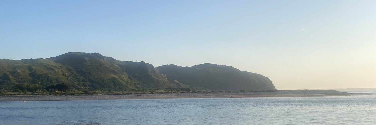 Catherine Storey banner