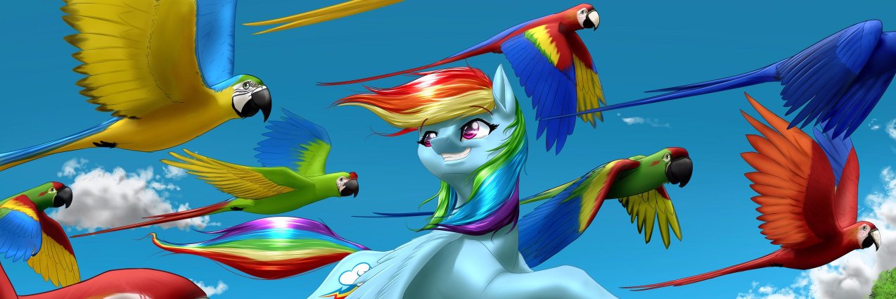 dbkoob's profile banner image