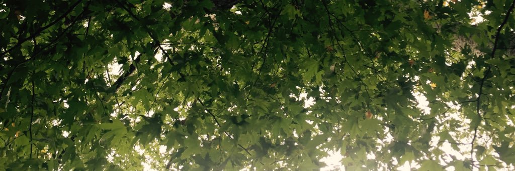 vanrad's profile banner image