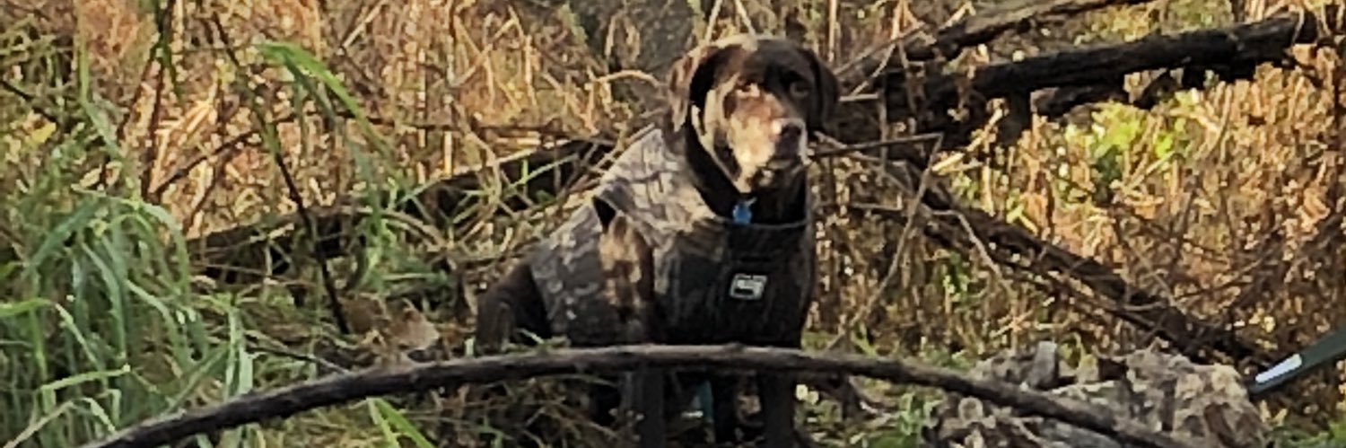 Austin Graham banner