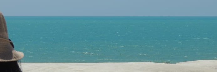 elainealvc's profile banner image