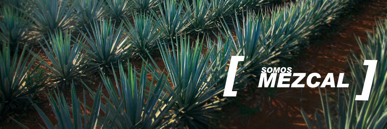 SabraDios1's profile banner image
