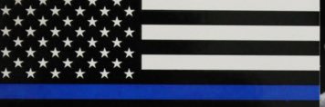 The Fuzz banner