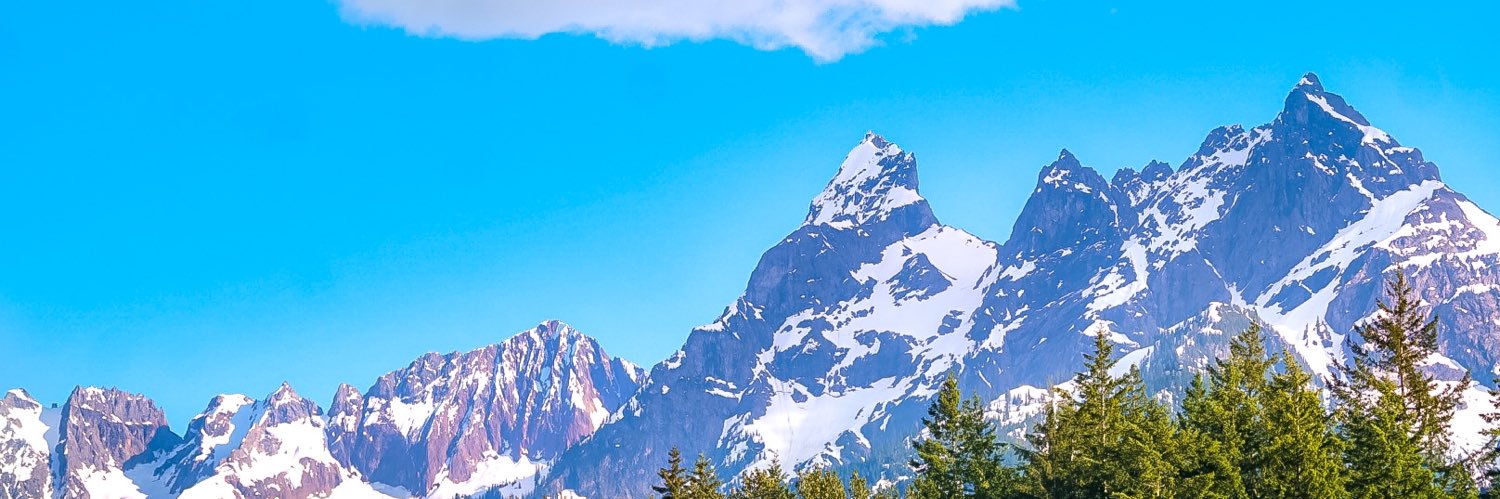 livandy_'s profile banner image