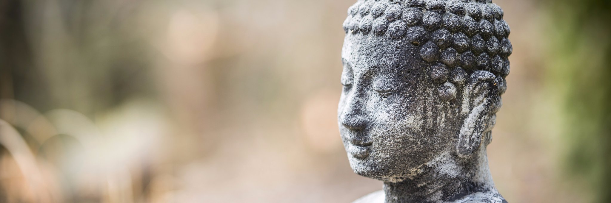 BuddhistBooks's profile banner image