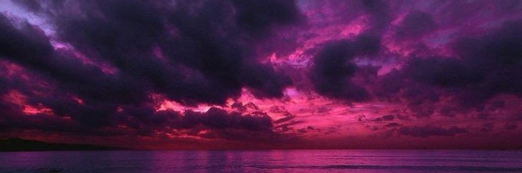 carmelbuggy's profile banner image