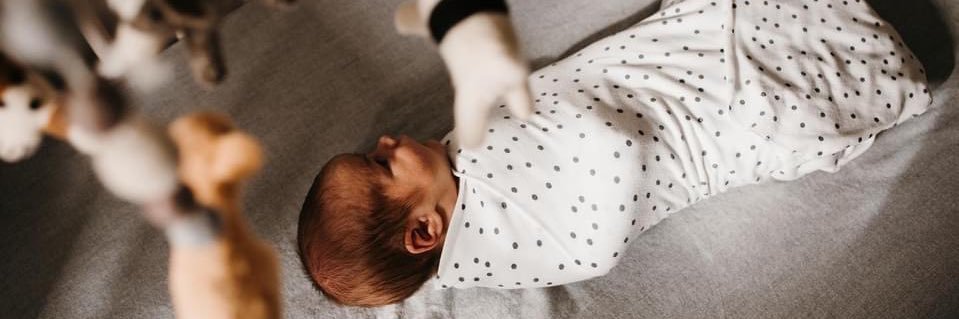 morganmaureen13's profile banner image
