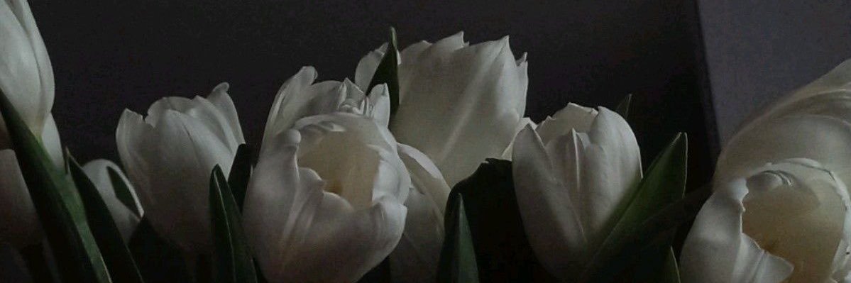 _jjann_'s profile banner image