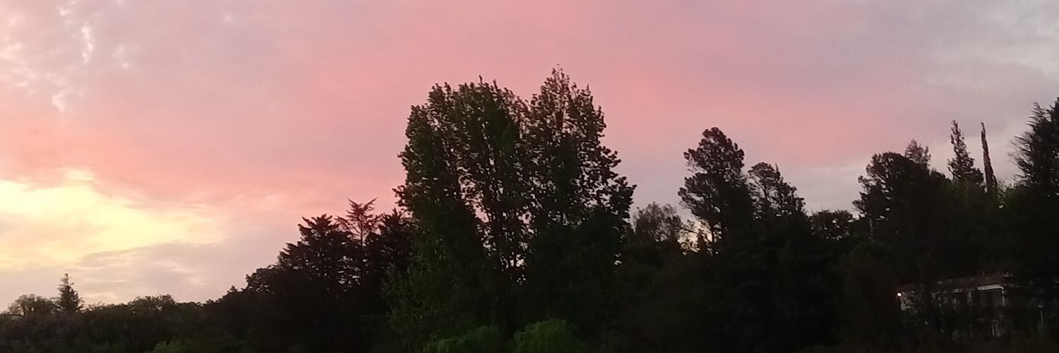 VictoriaFerrey1's profile banner image