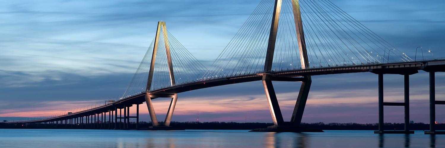 Charleston Democrats banner