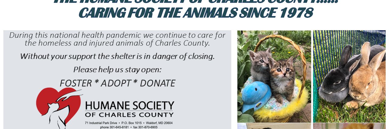 HumaneSocCharCo's profile banner image