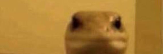 _joshnj's profile banner image
