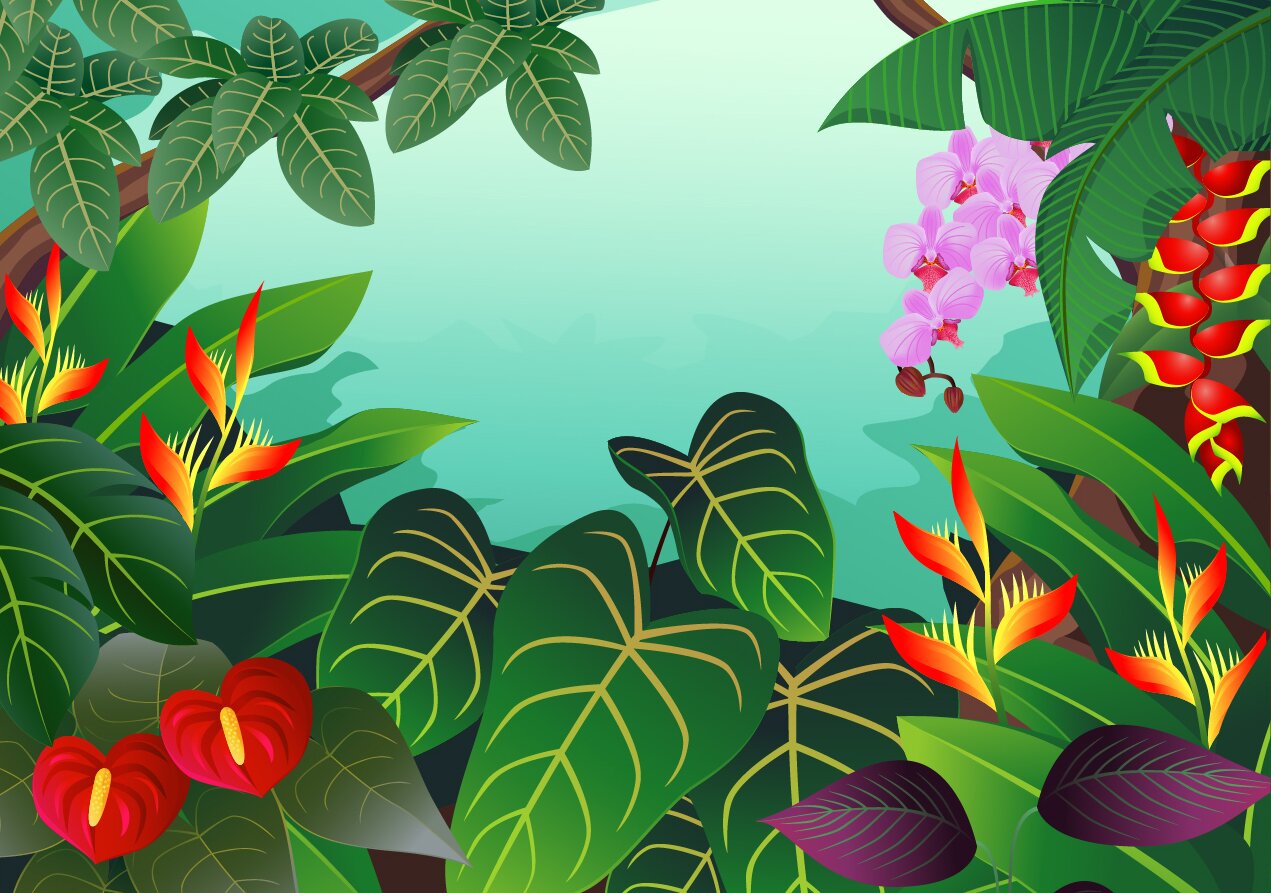mrnasu's profile banner image