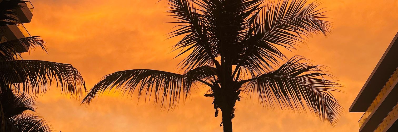 Machp145's profile banner image