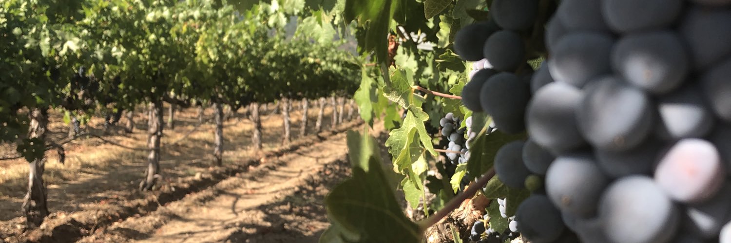 Kelli Johnson banner