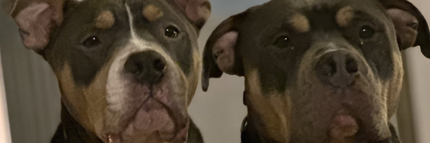 kaiskr86's profile banner image