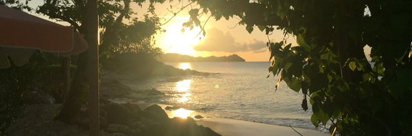 bendepear Profile Banner