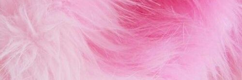 InhaleSumPotent's profile banner image