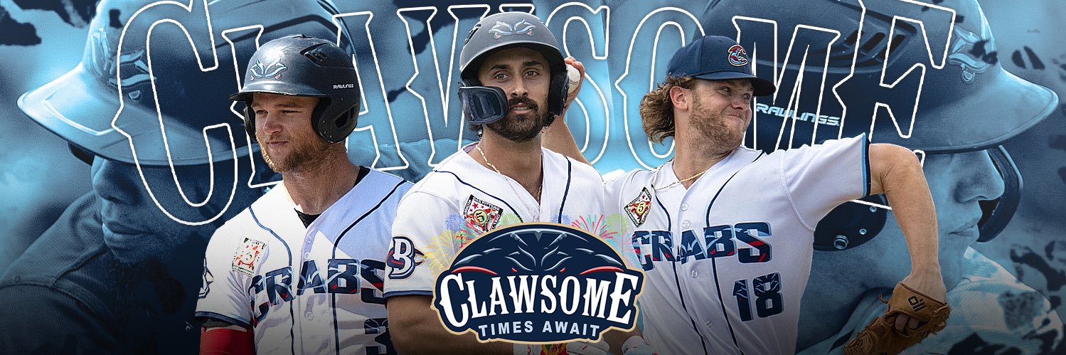 BlueCrabs's profile banner image