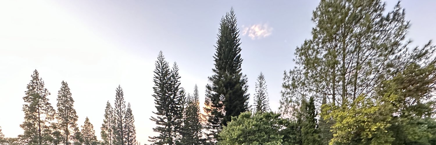 utiely's profile banner image