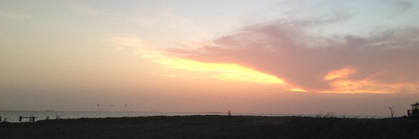 bradley_sheldon Profile Banner