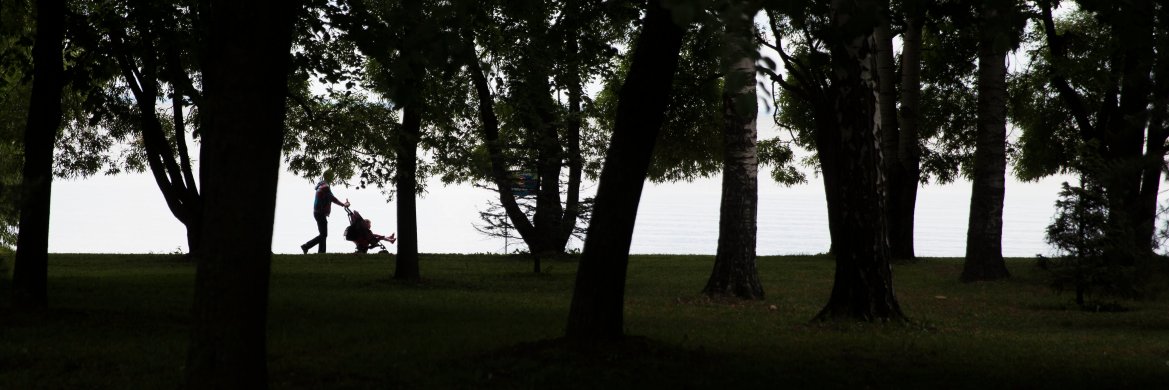 gpardorn's profile banner image