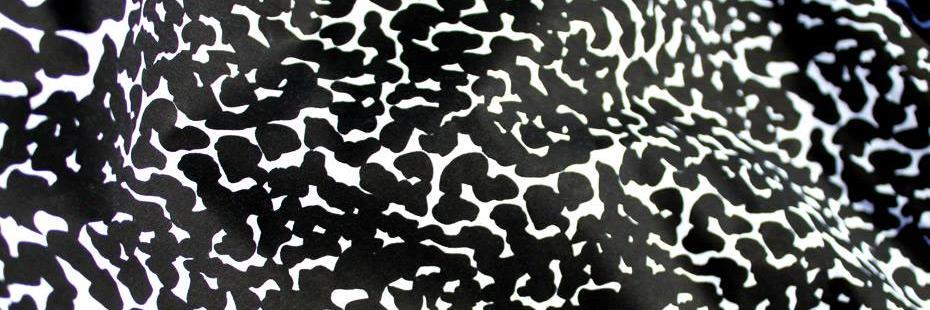 CHICASDELPRTICO's profile banner image