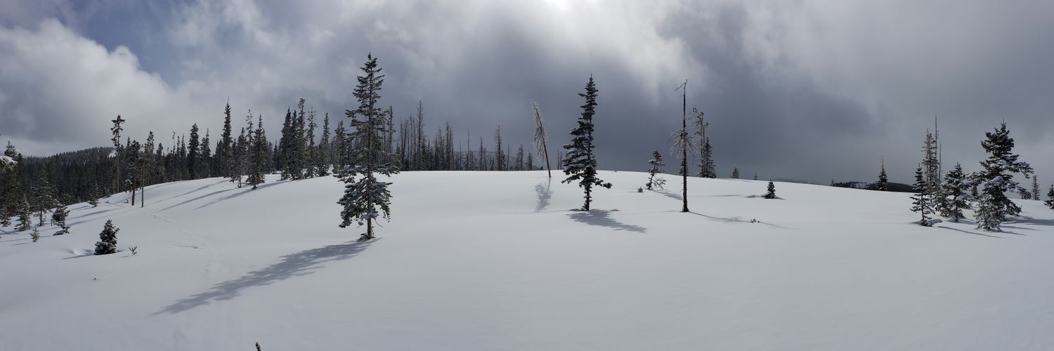 Cowboy BeepBoop banner