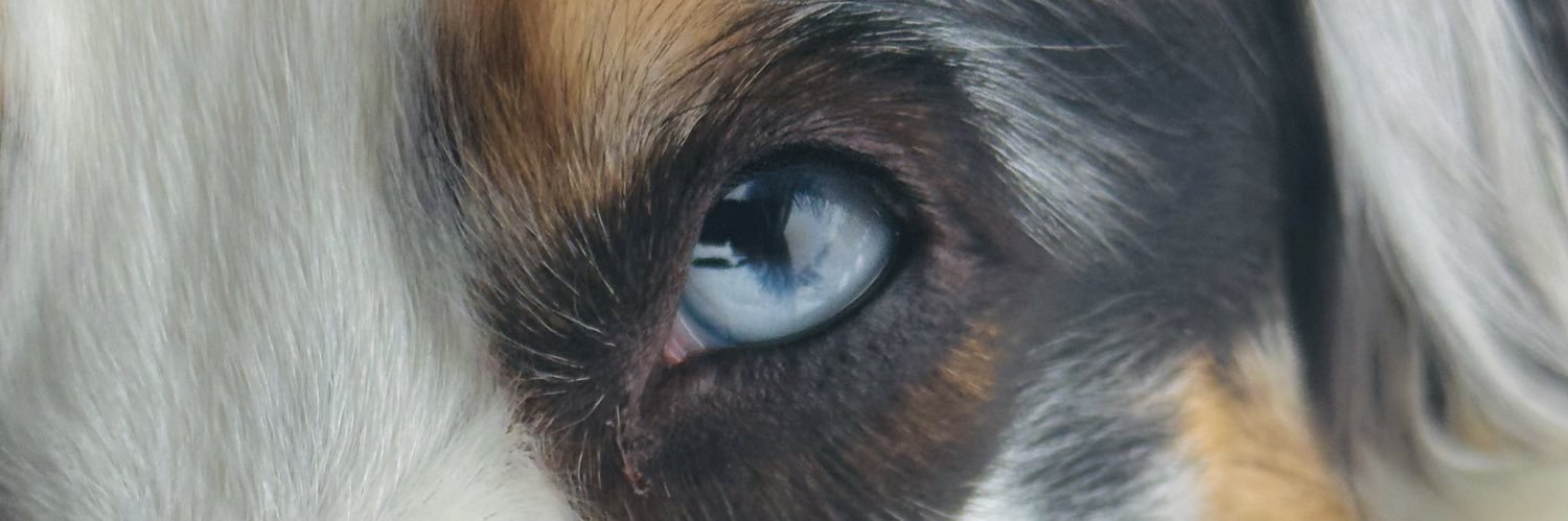 Jabers3's profile banner image