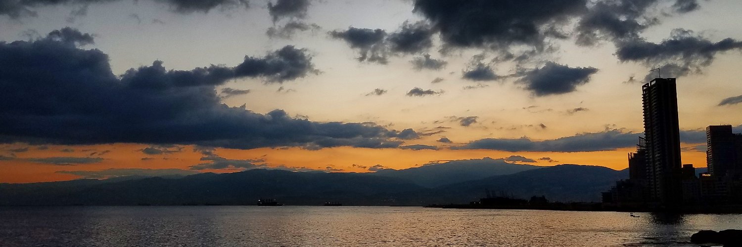 suzanneenzerink's profile banner image