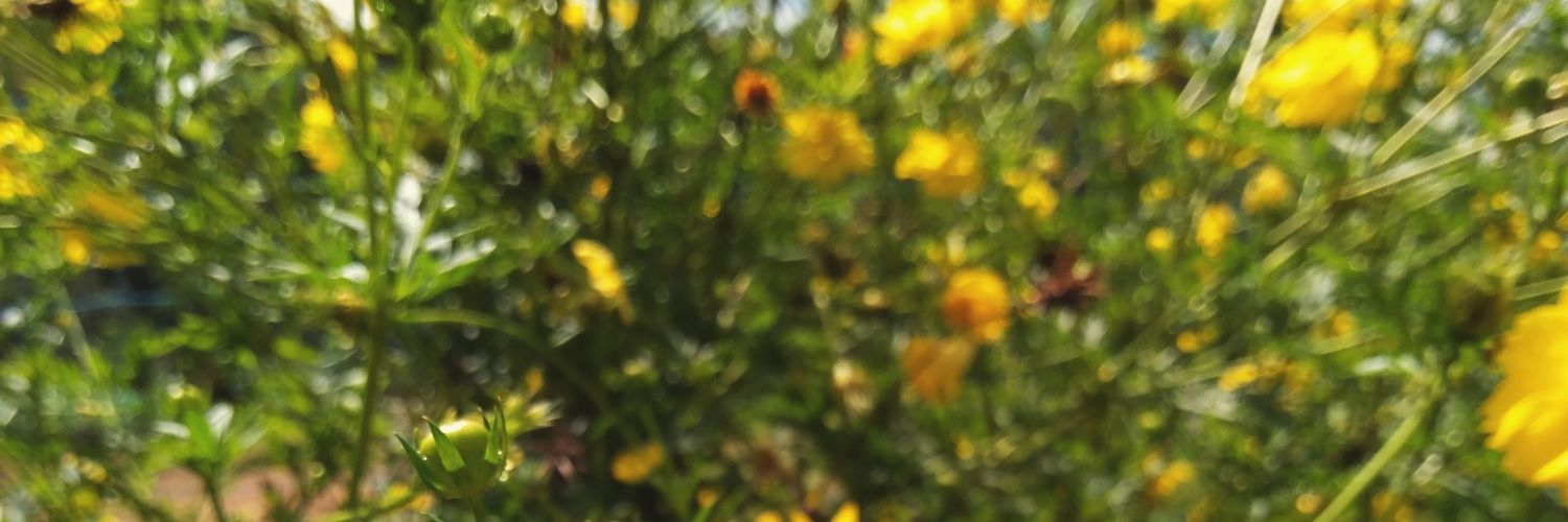 Izzanb_'s profile banner image