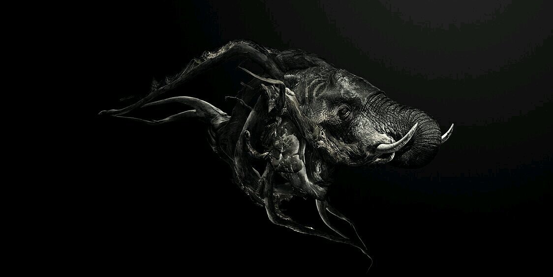 farbengnooy's profile banner image