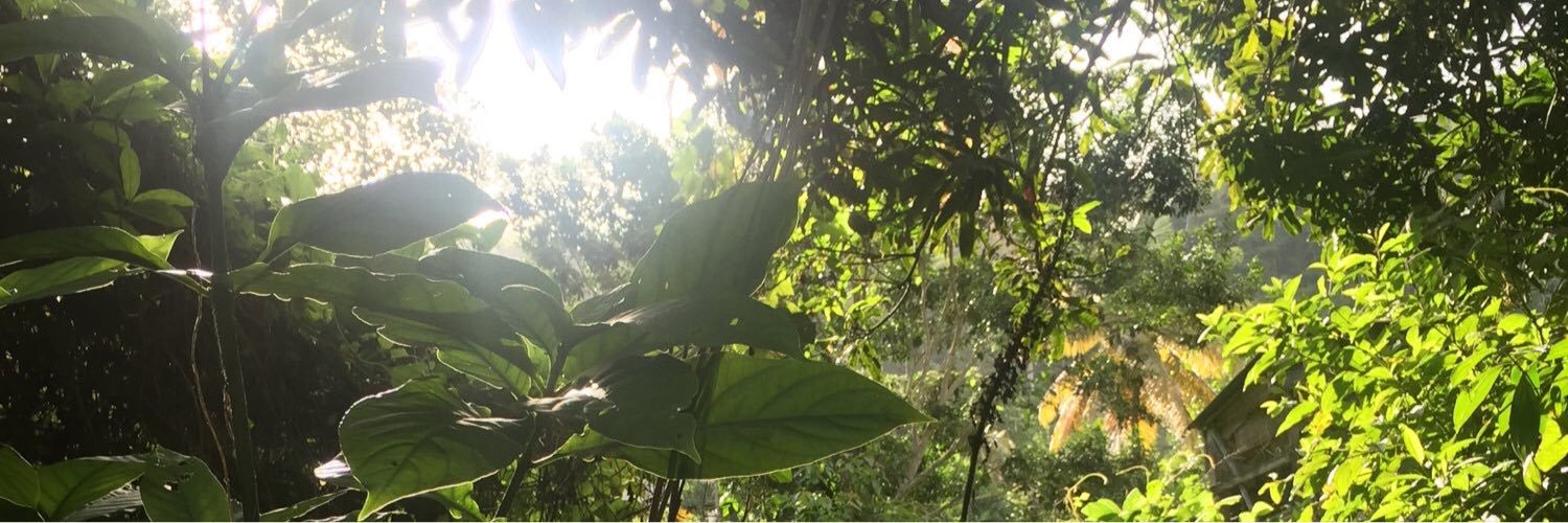 mundiorbe's profile banner image