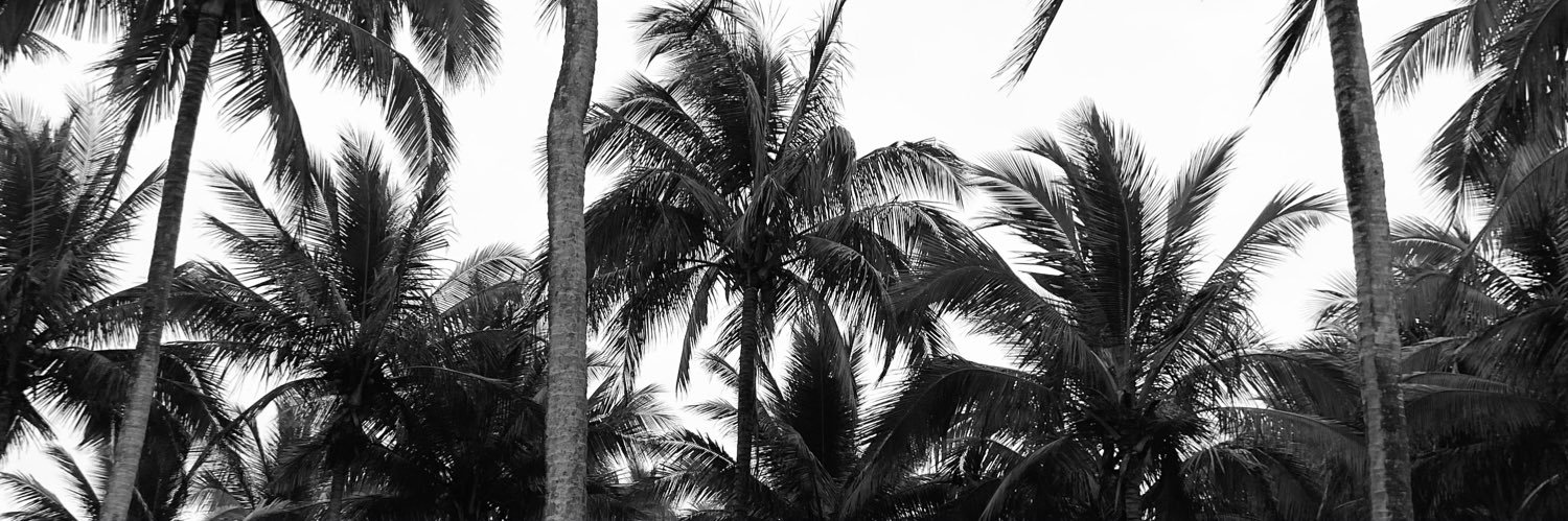 jozz94's profile banner image