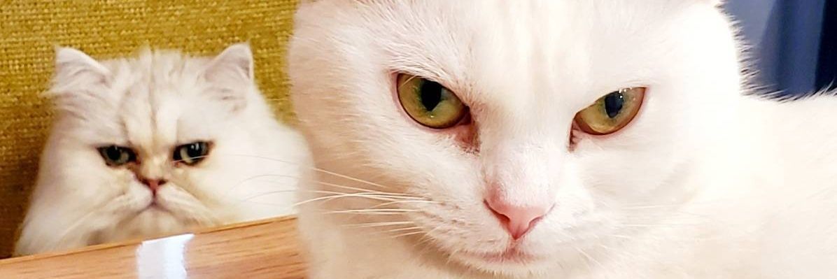 ookisugi0805's profile banner image