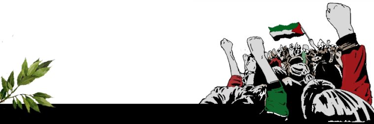 ilcicalino's profile banner image