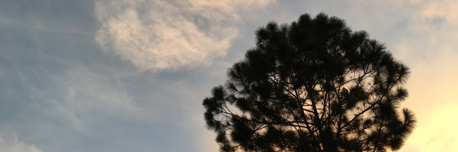 simpletherese15's profile banner image