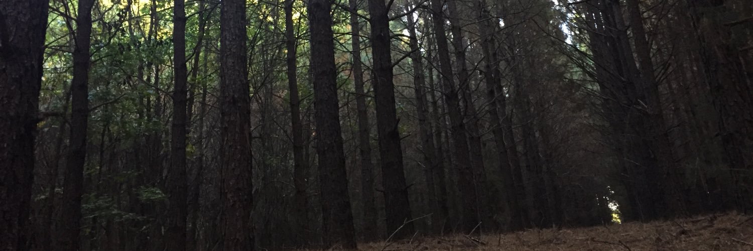 garbitchney's profile banner image