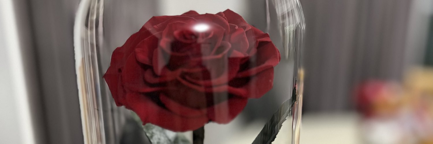 provoker99's profile banner image
