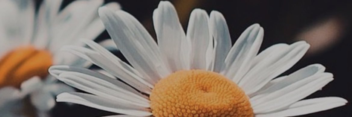 Jennifer Magee's banner