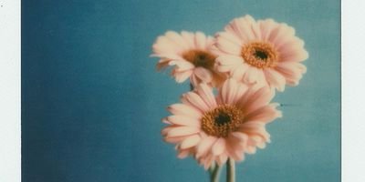 BrendaGorettiCS's profile banner image