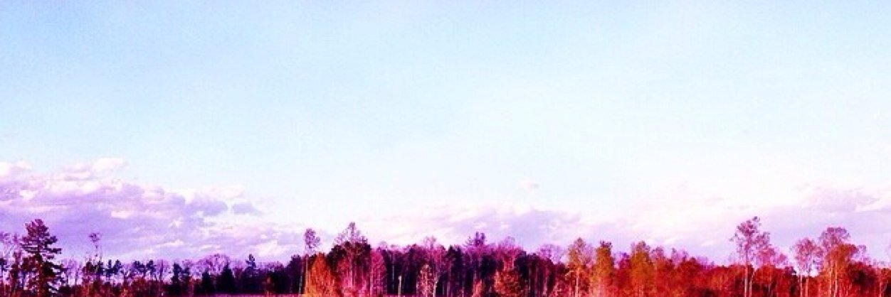 eshriver1's profile banner image