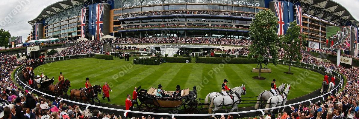 Louise Pollard banner