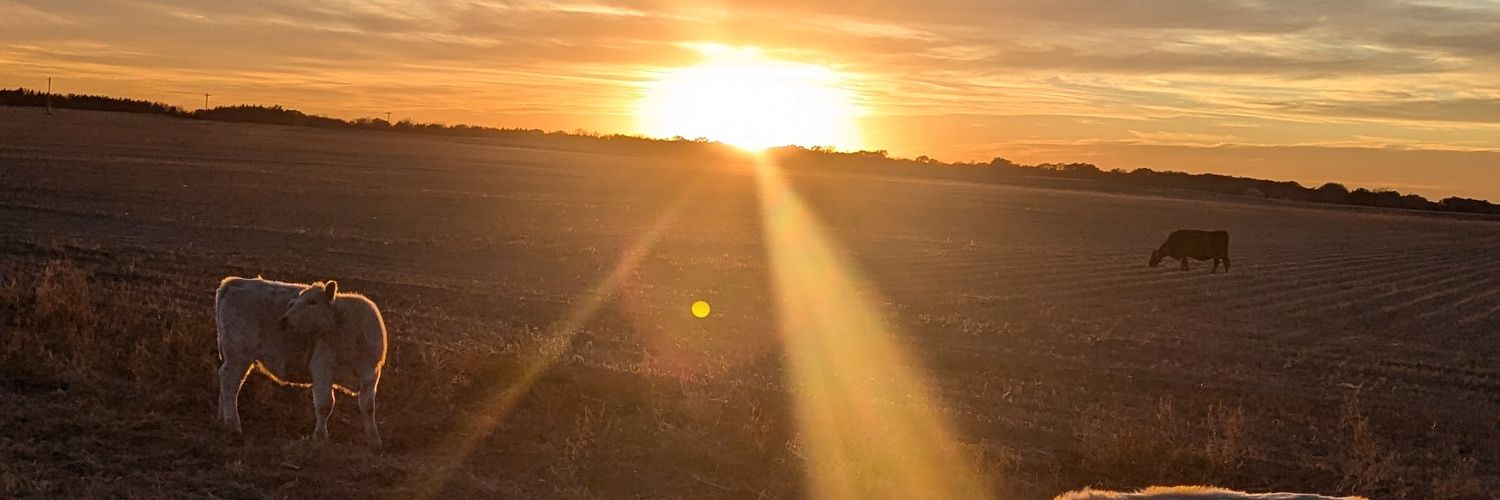 KeoLeiser's profile banner image