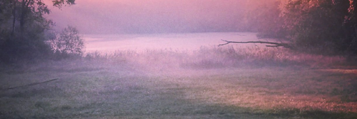 AmericnWolf's profile banner image