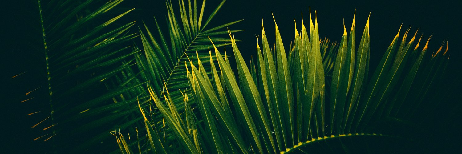 flyertoday's profile banner image