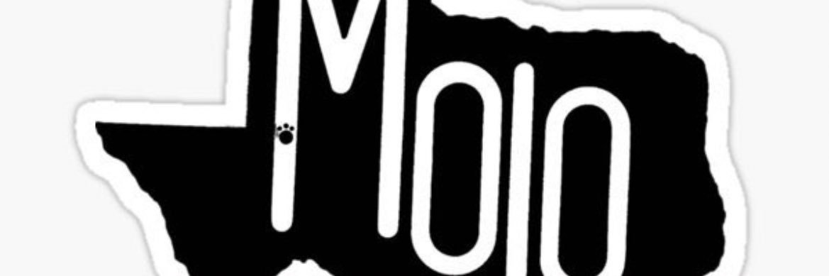 stflores1978's profile banner image