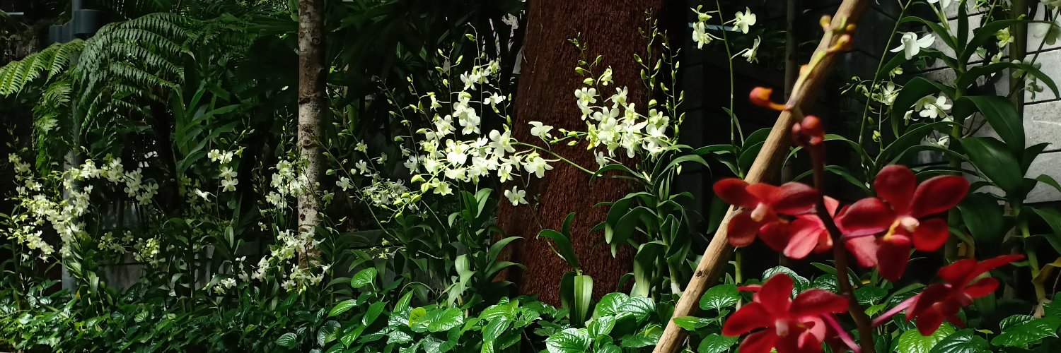 Intannfs_'s profile banner image