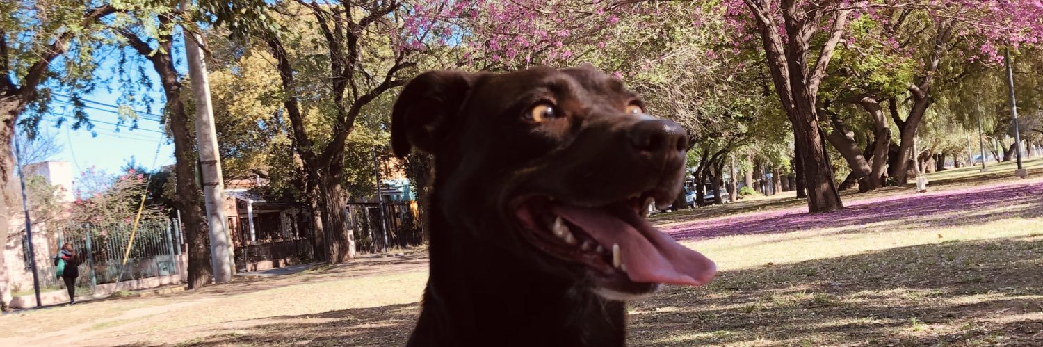 gonsuarez1's profile banner image