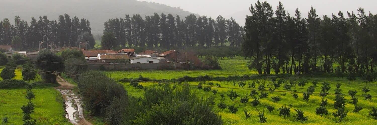 rabah_ben's profile banner image